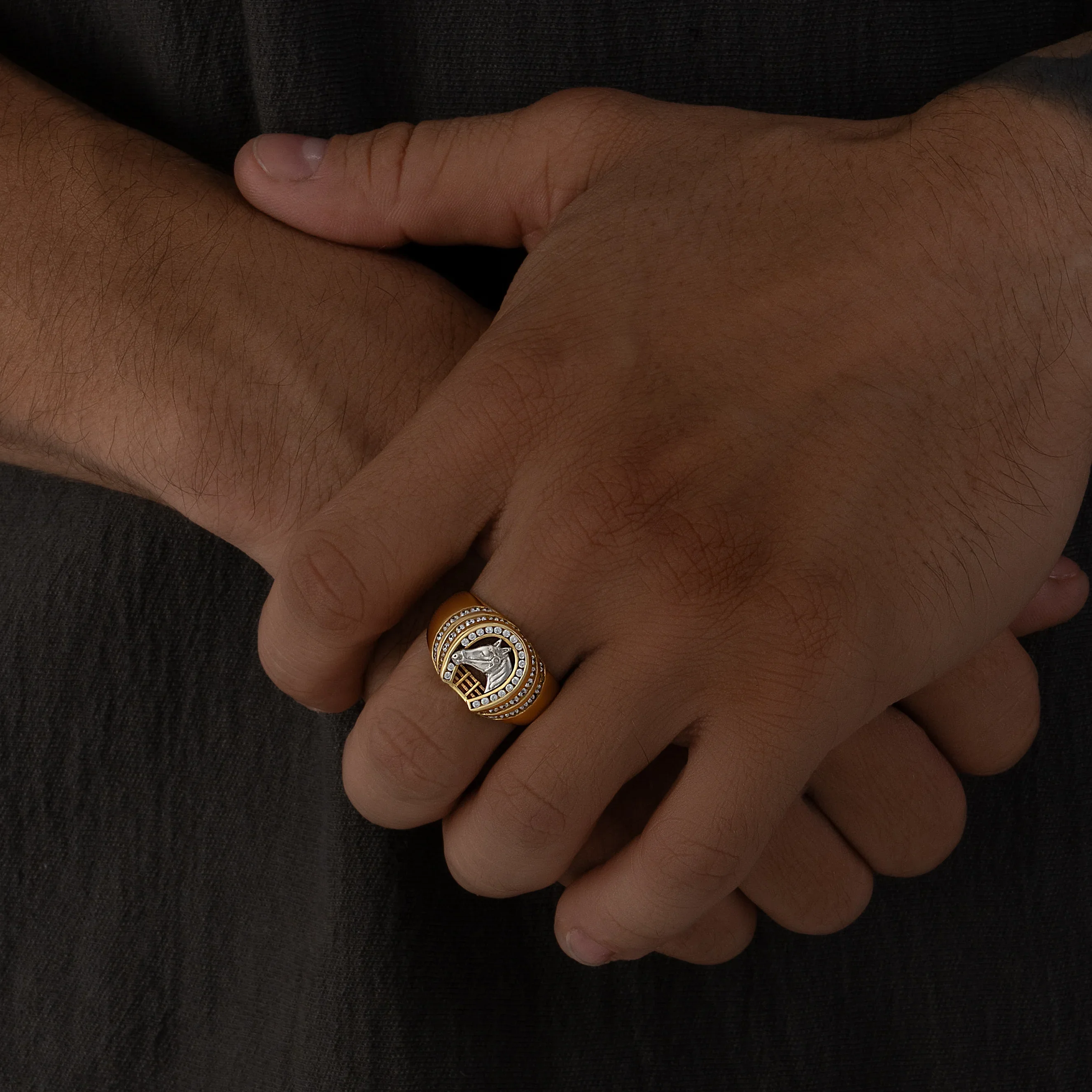 Anillo Herradura Caballo - Image 2